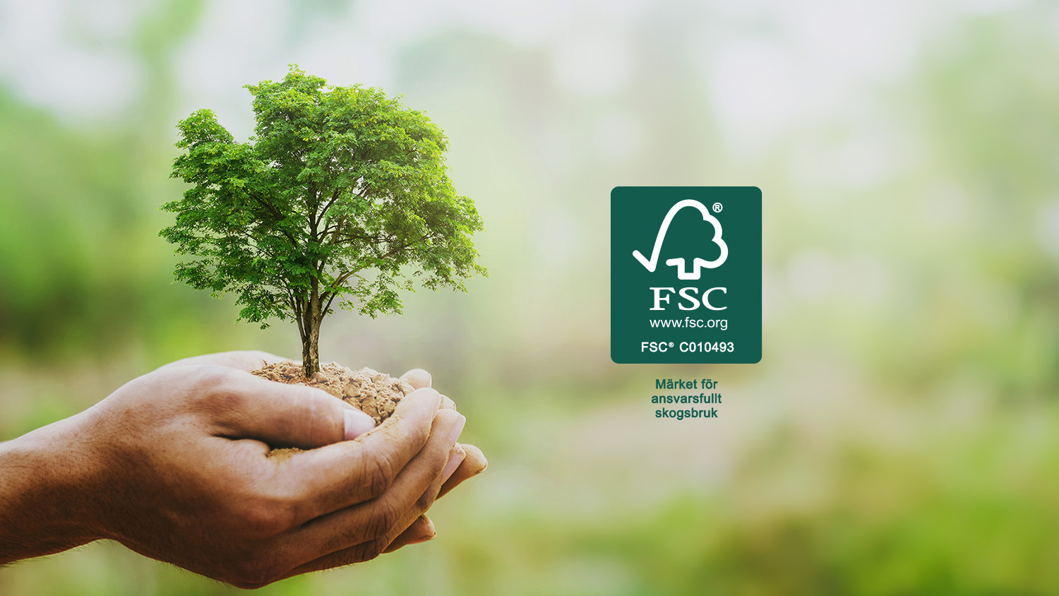 Hånd holder træ og FSC-logo